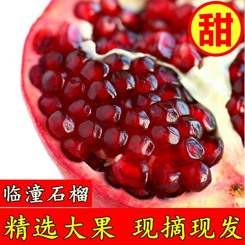 陜西特產(chǎn)臨潼石榴年貨禮盒紅石榴新鮮應(yīng)季孕婦水果酸甜石榴非軟籽