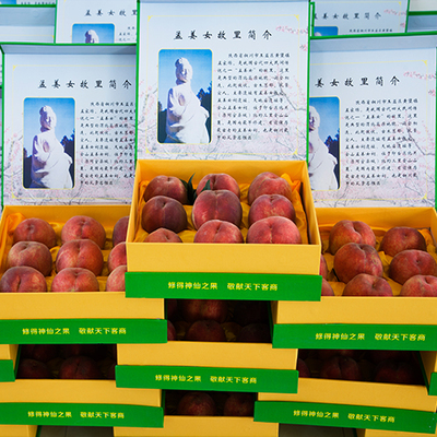 孟姜女故里特產(chǎn) 精品仙桃批發(fā) 基地現(xiàn)采現(xiàn)裝 每斤8元 專業(yè)種.